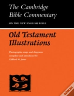 Capa do artigo Old Testament Illustrations