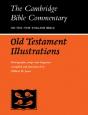 Old Testament Illustrations - Preview