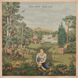 Capa do artigo Old Wow - CD