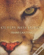 Capa do artigo Olhos Nos Olhos