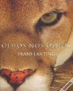 Capa do artigo Olhos Nos Olhos