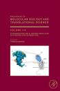 Oligomerization And Allosteric Modulation In G-Protein Coupled Receptors - Preview