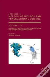 Oligomerization And Allosteric Modulation In G-Protein Coupled Receptors