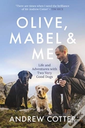 Capa do artigo Olive, Mabel & Me