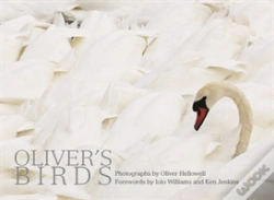 Capa do artigo Oliver'S Birds