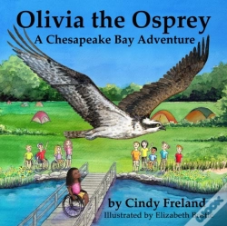 Capa do artigo Olivia The Osprey