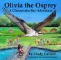 Olivia The Osprey - Preview