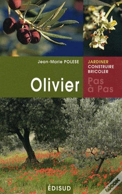 Capa do artigo Olivier
