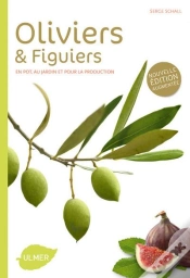 Capa do artigo Oliviers Et Figuiers