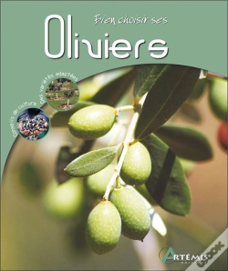 Capa do artigo Oliviers