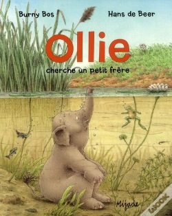 Capa do artigo Olli Le Petit Elephant