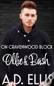 Capa do artigo Ollie & Bash