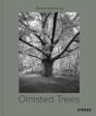 Olmsted Trees (Bilingual Edition) - Preview