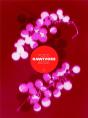 Omnivore Food Book - Numero 12 - Preview