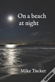 Capa do artigo On A Beach At Night