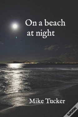 Capa do artigo On A Beach At Night