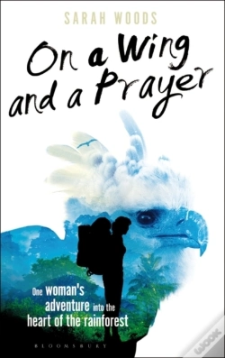 Capa do artigo On A Wing And A Prayer