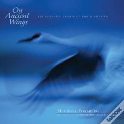 On Ancient Wings