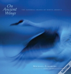 Capa do artigo On Ancient Wings