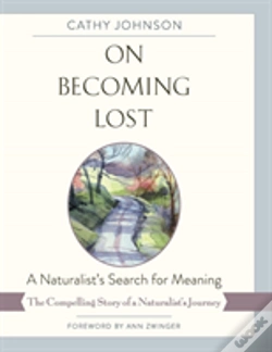 Capa do artigo On Becoming Lost