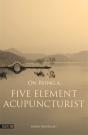 On Being A Five Element Acupuncturist - Preview