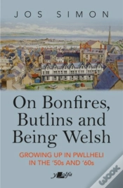 Capa do artigo On Bonfires, Butlins And Being Welsh