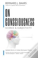 On Consciousness