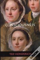 On Consciousness