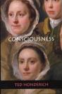 On Consciousness - Preview