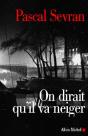 On Dirait Qu'Il Va Neiger : Journal 3 - Preview
