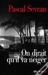 On Dirait Qu'Il Va Neiger : Journal 3