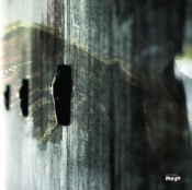 Capa do artigo On Feather and Wire - Vinil
