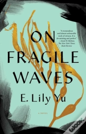 Capa do artigo On Fragile Waves