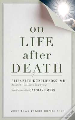 Capa do artigo On Life After Death, Revised