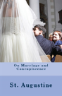 On Marriage And Concupiscence - Preview