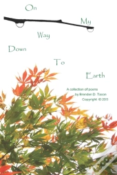 On My Way Down To Earth
