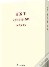 Capa do artigo On Respecting And Protecting Human Rights (Version Japonais-Chinois) - Edition Bilingue