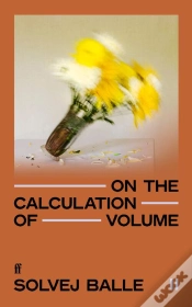Capa do artigo On the Calculation of Volume II