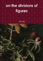 On The Divisions Of Figures - Preview