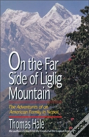 Capa do artigo On The Far Side Of Liglig Mountain