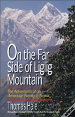 Capa do artigo On The Far Side Of Liglig Mountain