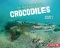 On The Hunt With Crocodiles - Preview