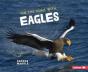 On The Hunt With Eagles - Preview