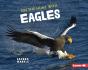 On The Hunt With Eagles - Preview