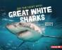 On The Hunt With Great White Sharks - Preview