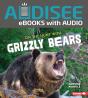 On The Hunt With Grizzly Bears - Preview