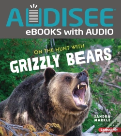 Capa do artigo On The Hunt With Grizzly Bears
