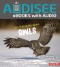 On The Hunt With Owls - Preview
