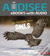 Capa do artigo On The Hunt With Owls