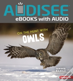 Capa do artigo On The Hunt With Owls